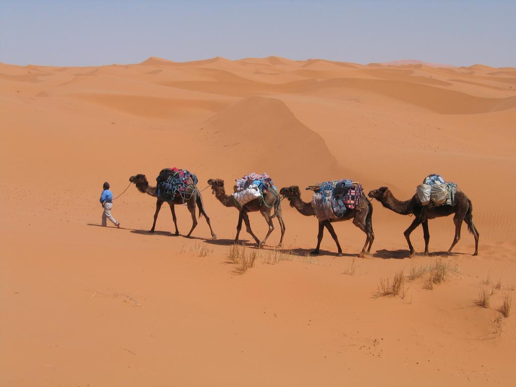 Camel Trek Bivouac Hotell Merzouga Rum bild