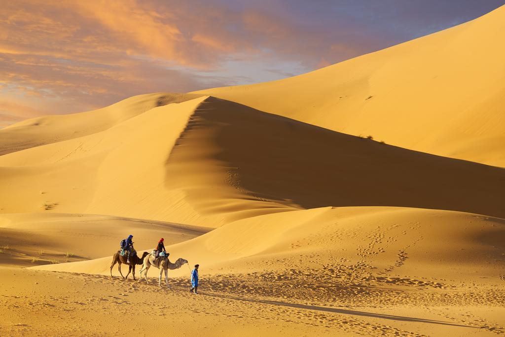 Camel Trek Bivouac Hotell Merzouga Rum bild